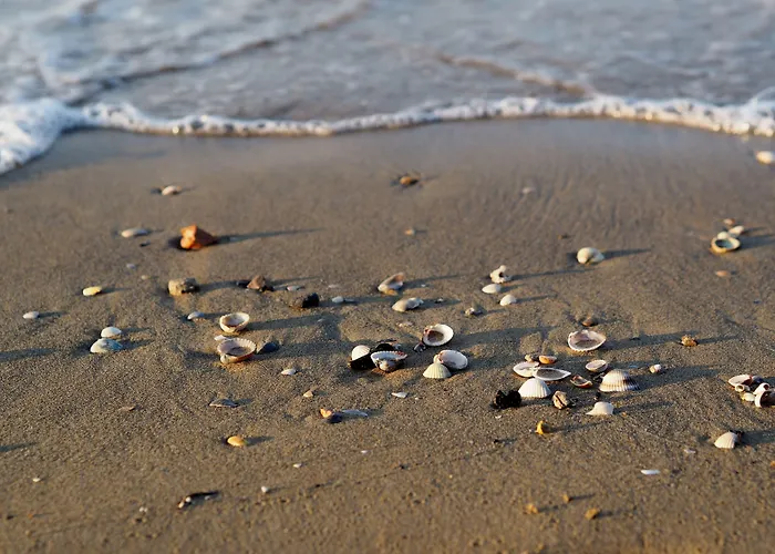 Modern Flat For 8 People With Swimming Pool Apartmán *